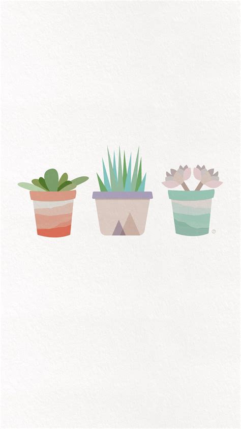 Succulent Aesthetic Desktop Wallpapers On Wallpaperdog