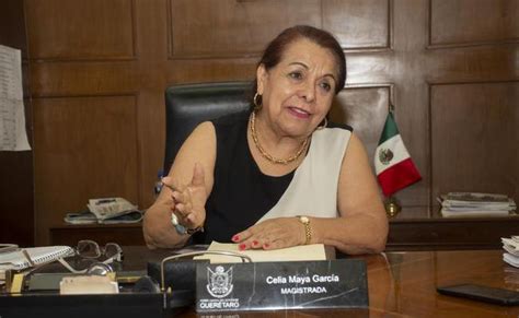 Celia Maya Un Perfil A La Presidencia De Morena Querétaro