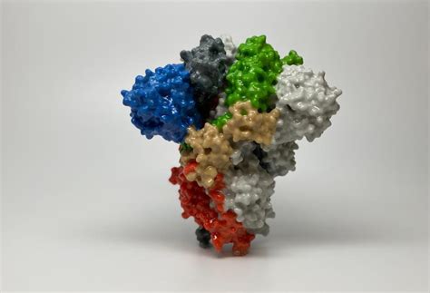 The vaccines and related biological products advisory committee will meet in open session to discuss emergency use authorization (eua) of the janssen biotech inc. ¿Quién creó el SARS-CoV-2? - IISA