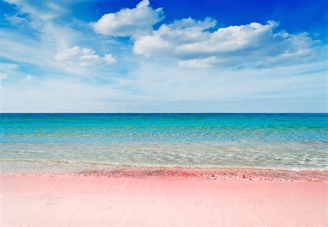 Pink Sand Beach Aruba The Best Beaches In The World