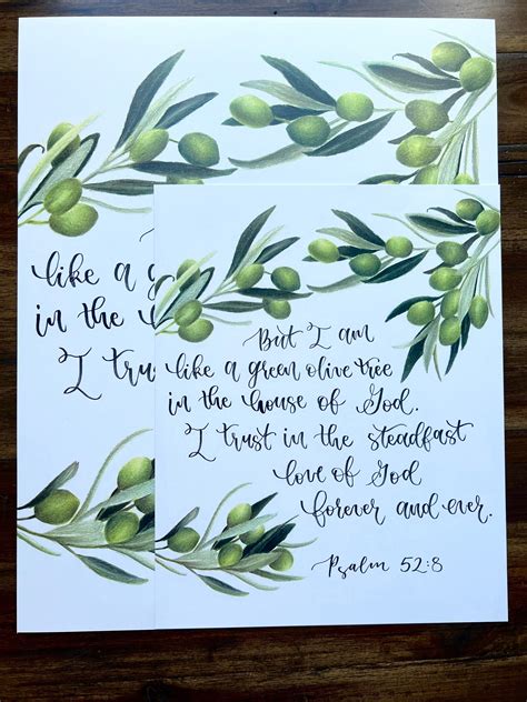 Olive Tree Bible Verse