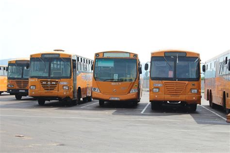Buses Will Be Travelling To Moria‚ Says Limpopo Transport Department