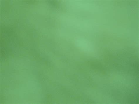 Green Haze Background Free Stock Photo Public Domain Pictures