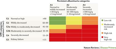 Chronic kidney disease (ckd) is both a common cause of hypertension and a complication of uncontrolled hypertension. Chronic Kidney Disease Nature Reviews Disease Primers