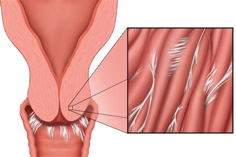 How To Penis Enter Vagina With Porn Pics Sex Photo