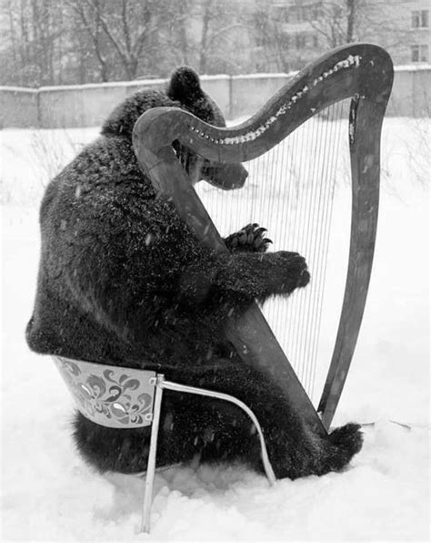 20 Funny Vintage Photos Show Animals Playing Musical Instruments As