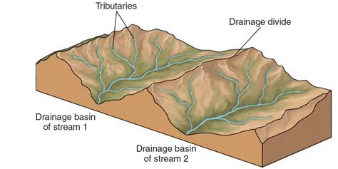 Drainage Basins World Rivers