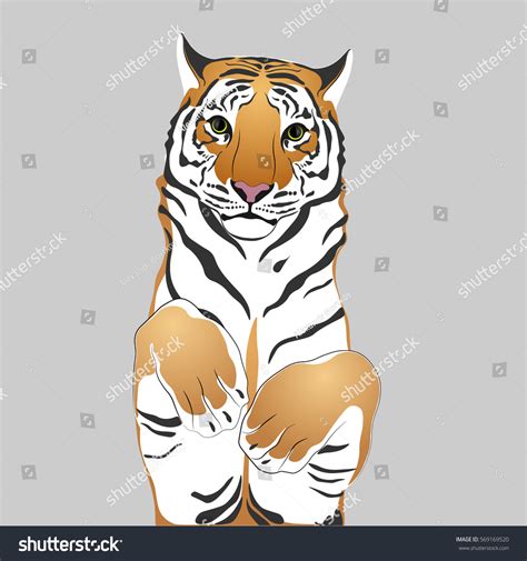Tiger Jump Stock Illustration Shutterstock