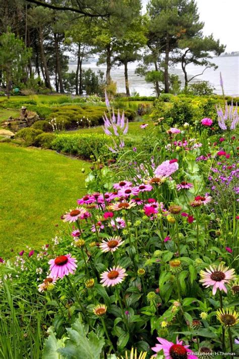 5 Pasos Para Conseguir Un Jardín Con Muchas Flores El Blog De Plan
