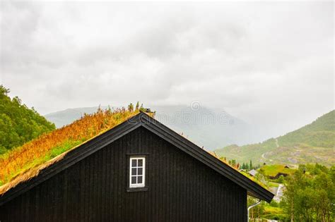 Traditional Norwegian House With Grass Roof In Norway Stock Image