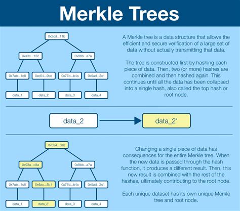 Computer Science Merkle Trees And Merkle Proofs If You Want