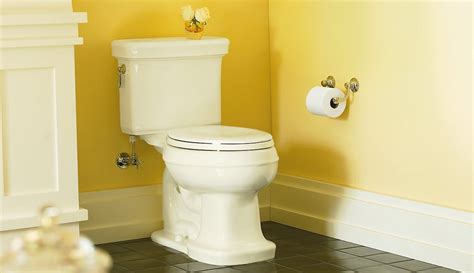 5 Best Kohler Toilets Mar 2024 Bestreviews