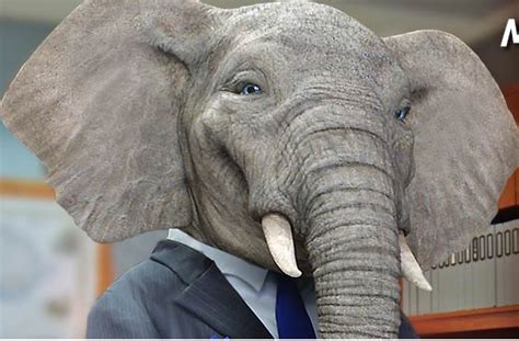 Elephant insurance is a relatively new provider in the auto insurance market, having only been established in 2009. Elephant Car Insurance Telephone