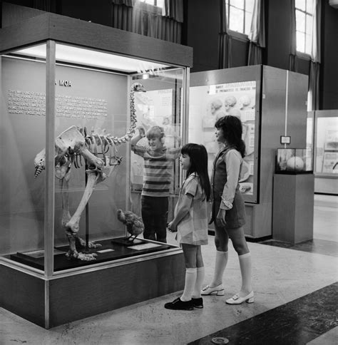 carrie jeffrey and laura pew at university of michigan natural history museum august 1972