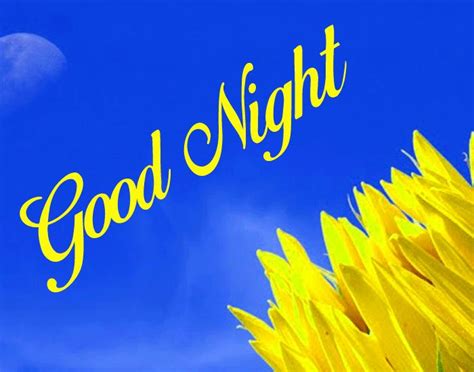 Good Night Yellow Flower Hd Download Free Good Morning Images Good Morning Images Good Night