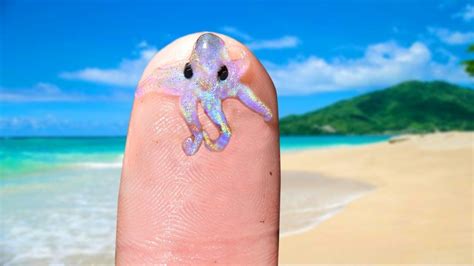 Cutest And Tiniest Sea Creatures Sea Creatures Creatures Lizard