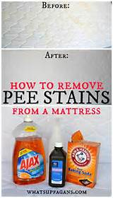Pee On Mattress Cleaning