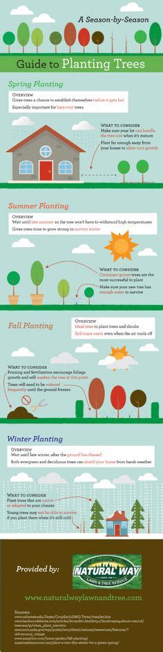 Season By Season Guide To Planting Trees Infographic Tree Facts Tree
