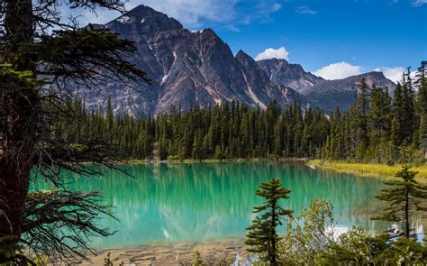 кавелл озеро национальный парк джаспер альберта канада скалистые горы