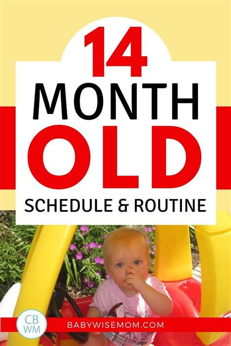 Mckenna Pre Toddler Summary 14 Months Old Babywise Mom 14 Month