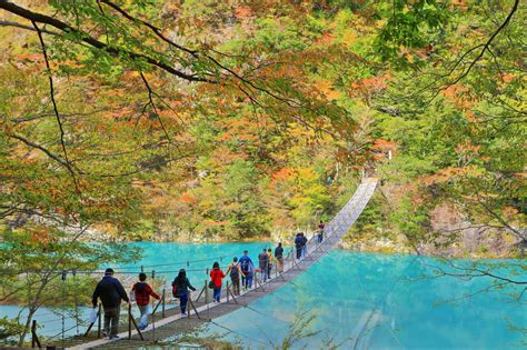 5 Must See Nature Escapes In Shizuoka Prefecture Good Luck Trip