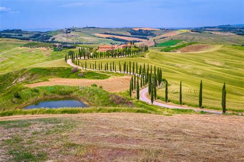 Beautiful Tuscany Countryside Scenery With Curved Rural Road Italy
