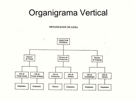 30 Ejemplos De Organigramas