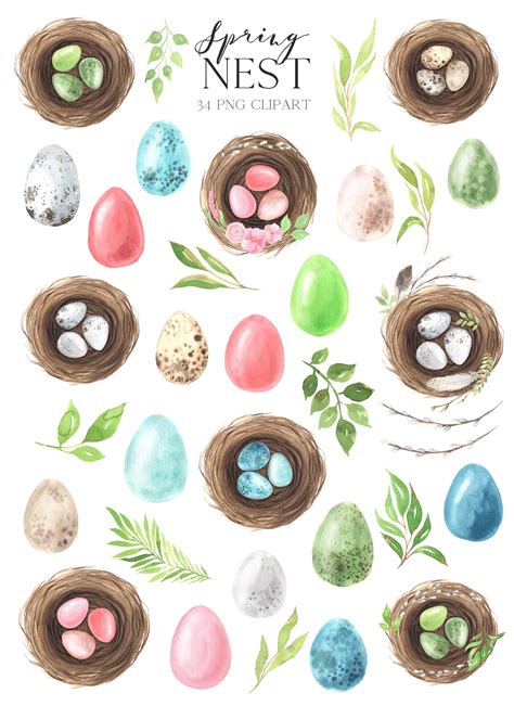 Watercolor Easter Egg Clipart Hand Painted Colorful Egg Nest Etsy Uk