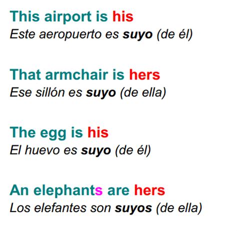 Ejemplos De Frases Con Pronombres Posesivos En Ingles Contactos Sin Compromiso