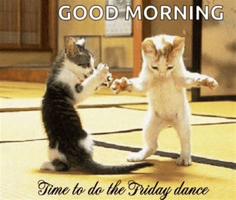 Good Morning Friday Dance Time Kittens  Uinona S
