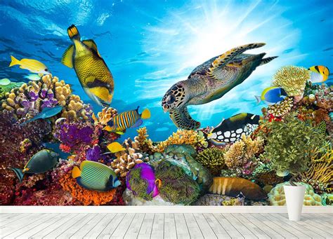 Reef With Many Fishes And Sea Turtle Wall Mural Wallpaper Canvas Art