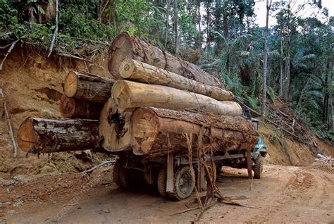logging truck malaysia stock image  science photo library