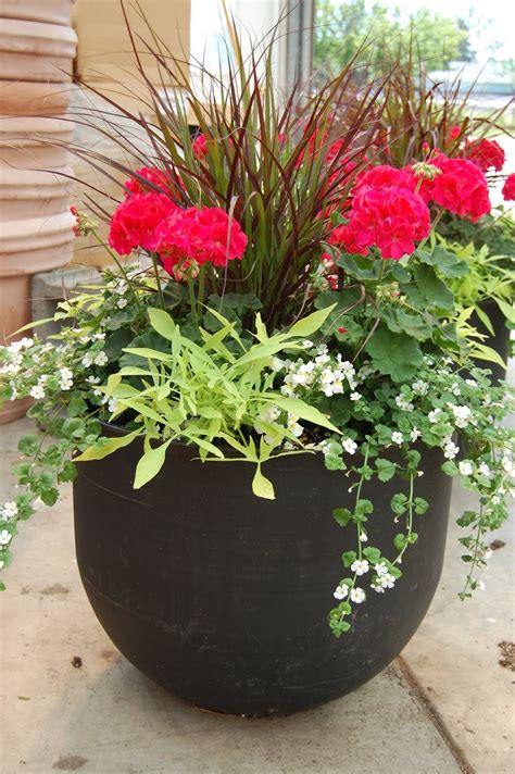 Planting flowers in spring is the most popular time, but perennials do fine if planted in early fall in the north and late fall in the south. Images of potted plant ideas | How To Plant a Patio Pot ...