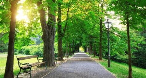 Rumah hijau dan asri lingkungan sejuk dan bersih itu yang diinginkan hati. Contoh Puisi Tentang Lingkungan Sekitar - cari