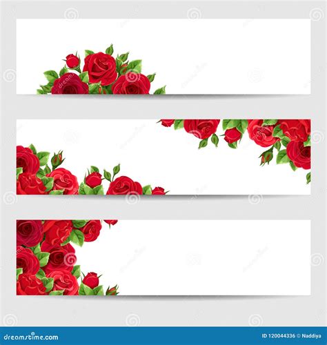 Set Of Web Banners With Red Roses Vector Illustration Stock Vector