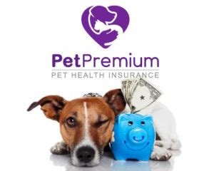 Best Flexible Premium Adjustable Life Insurance Policy ...