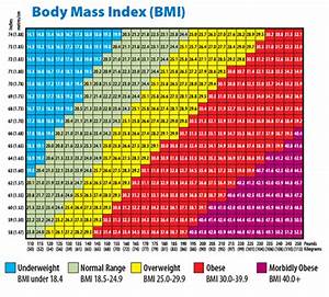 Body Mass Index Bmi