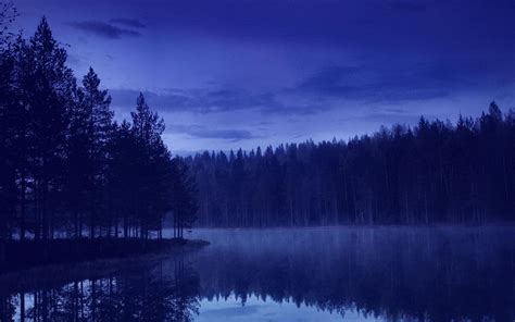 Nature Landscape Blue Evening Reflection Water Forest Trees
