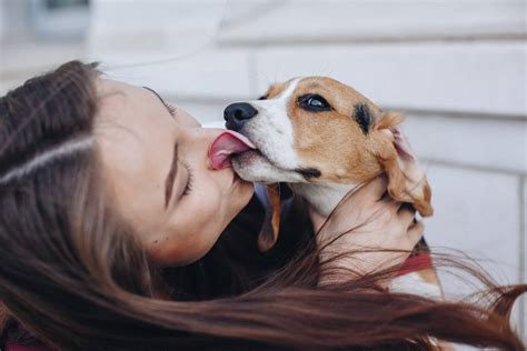 Why Do Dogs Like To Kiss On The Lips