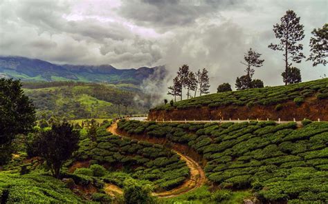 India, officially the republic of india, is a country in south asia. Reasons to Visit India During the Monsoon Season | TransIndus