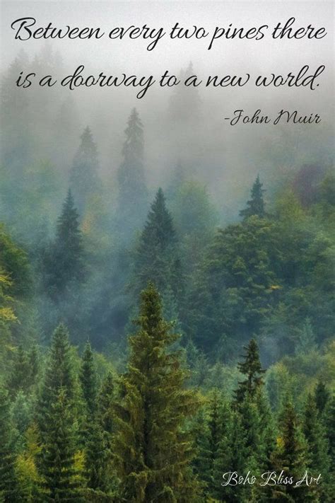 John Muir Quote Between Every Two Pine Trees There Is A Door Etsy In