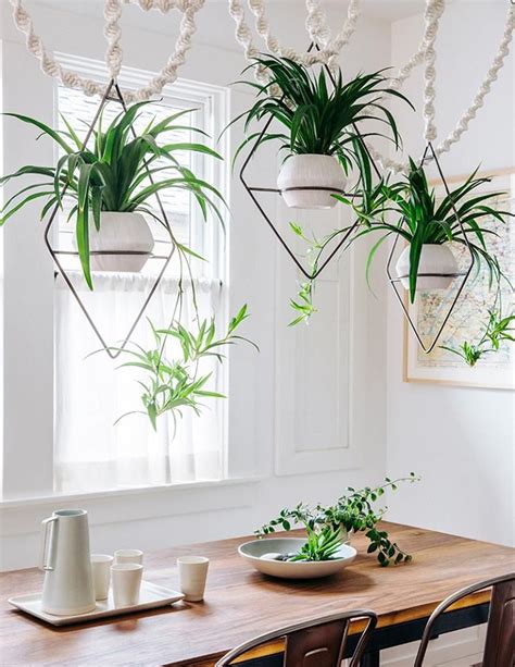 Sensational Easy To Grow Indoor Hanging Plants Over The Railing Plant