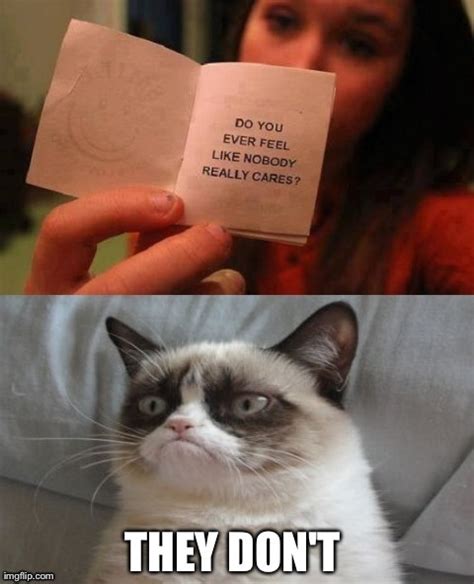 School Thoughts Told By Grumpy Cat Memes Her Campus