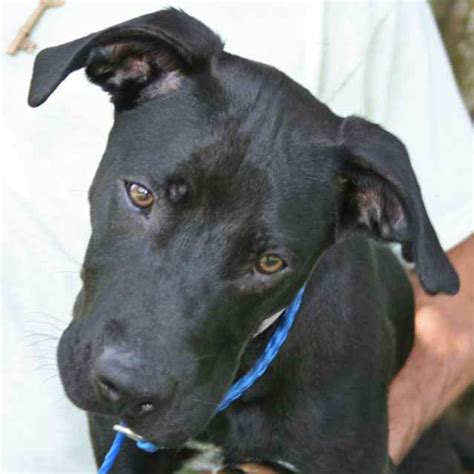 By continuing to use our site, you accept our use of cookies, privacy policy and terms of use. LUCAS located in Chipley, FL