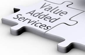 Value Added Services - BLU dot ERP Solutions