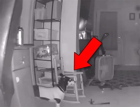 Ghost caught on camera | extraktlab incident report: Unnatural Paranormal Encounters Caught on Camera - Slapped Ham