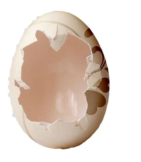 Download Plain Cracked Easter Egg Png Download Free Hq Png Image