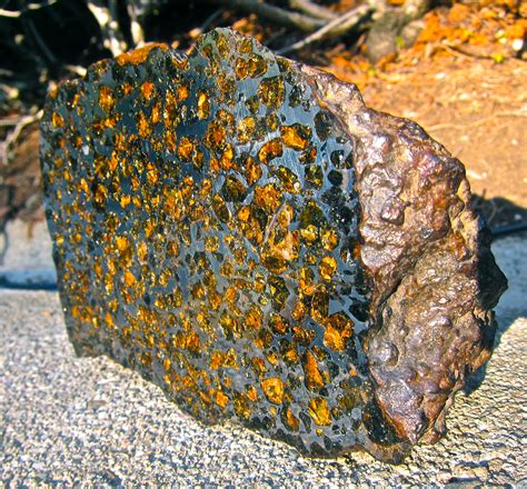 Brahin Pallasite Sliced Meteorite