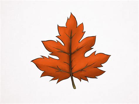 How To Draw A Red Maple Leaf
