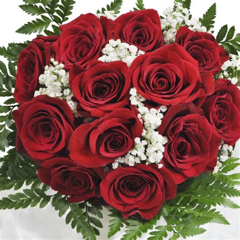 Classic One Dozen Red Rose Bouquet Cranbury Fields